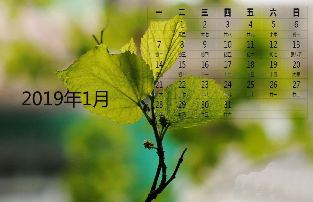ps怎么設計清新的日歷圖片? ps日歷的設計方法
