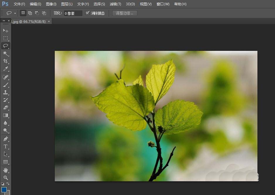 ps怎么設計清新的日歷圖片? ps日歷的設計方法