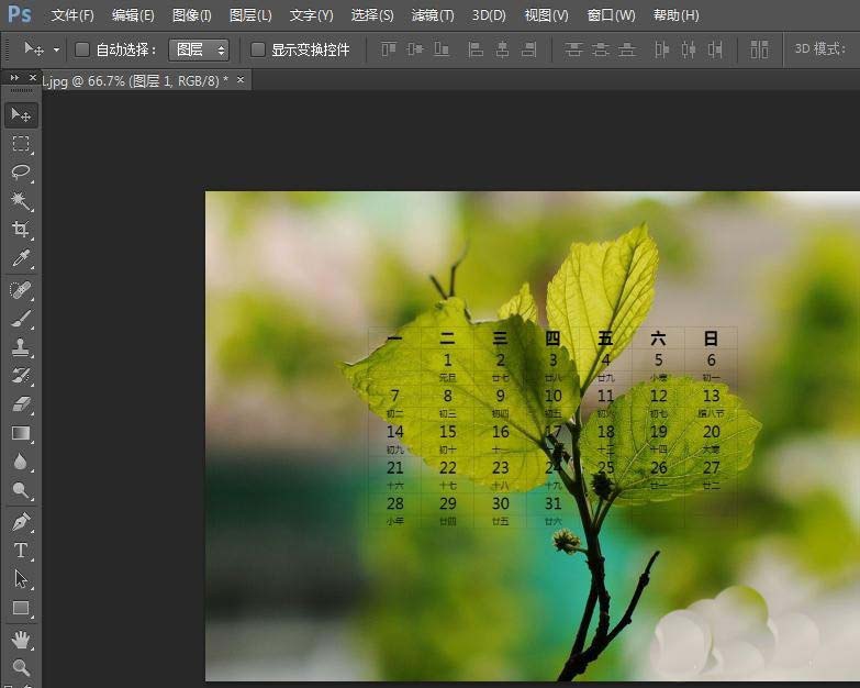 ps怎么設計清新的日歷圖片? ps日歷的設計方法