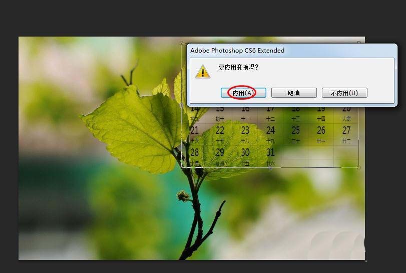 ps怎么設計清新的日歷圖片? ps日歷的設計方法
