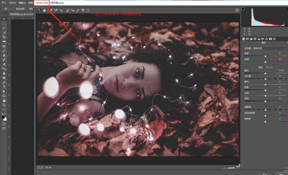 ps怎么恢復(fù)camera raw默認(rèn)值?