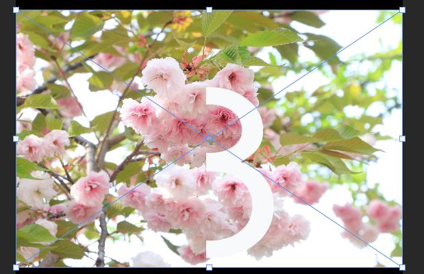 ps怎么設(shè)計(jì)很有層次感的立體字填充花朵的效果?