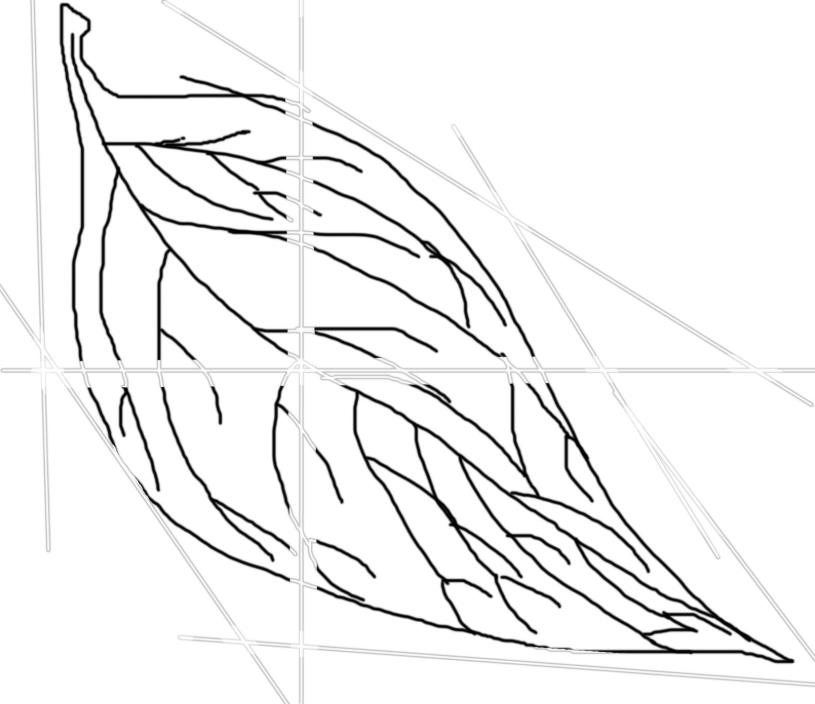 PS怎么鼠繪陽(yáng)光下的樹葉矢量圖?