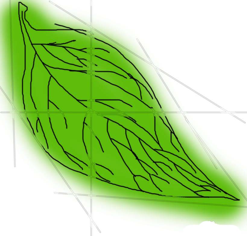 PS怎么鼠繪陽(yáng)光下的樹葉矢量圖?