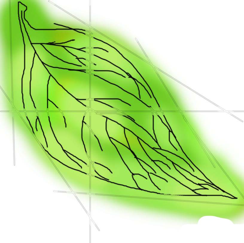 PS怎么鼠繪陽(yáng)光下的樹葉矢量圖?