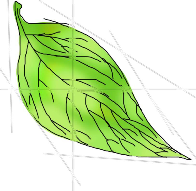 PS怎么鼠繪陽(yáng)光下的樹葉矢量圖?