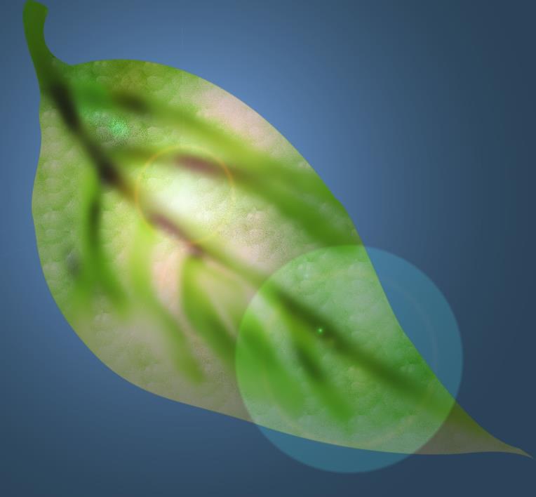 PS怎么鼠繪陽(yáng)光下的樹葉矢量圖?