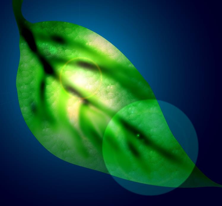 PS怎么鼠繪陽(yáng)光下的樹葉矢量圖?