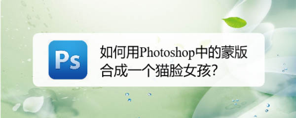 ps怎么快速合成一個(gè)逼真的貓臉女孩? ps貓臉女孩的制作方法