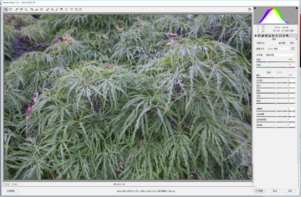 PS怎么修改RAW格式的文件? ps打開RAW文件的技巧