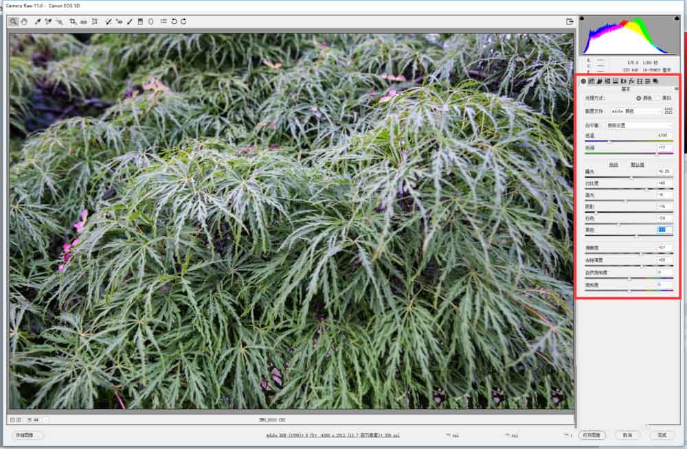 PS怎么修改RAW格式的文件? ps打開RAW文件的技巧