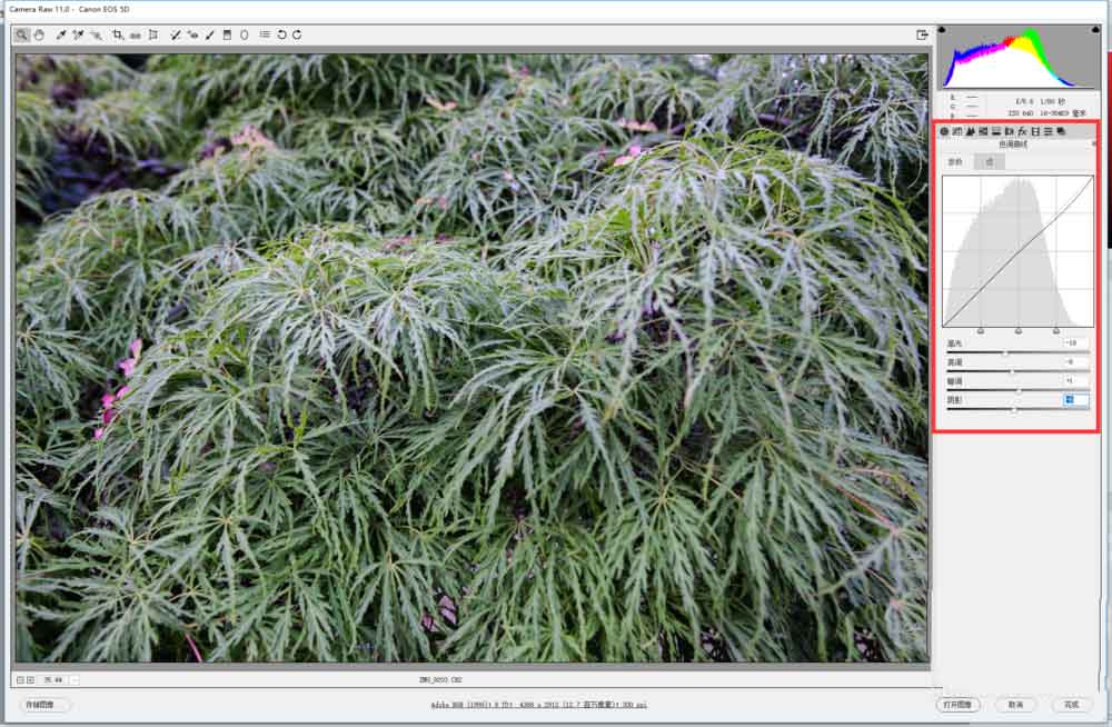 PS怎么修改RAW格式的文件? ps打開RAW文件的技巧