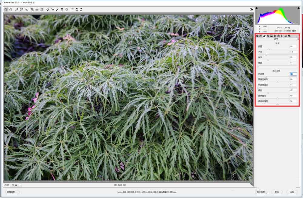 PS怎么修改RAW格式的文件? ps打開RAW文件的技巧