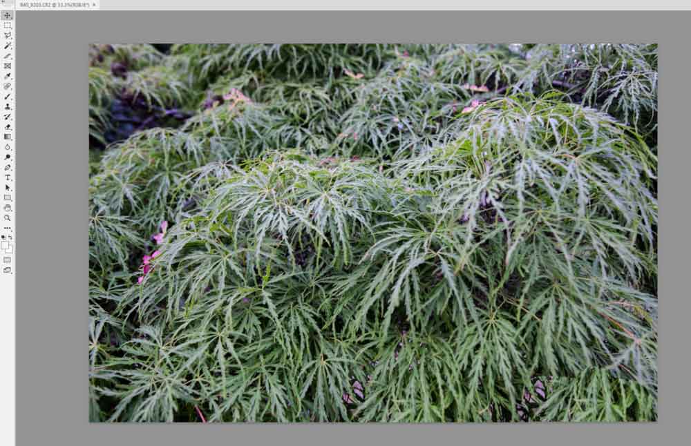 PS怎么修改RAW格式的文件? ps打開RAW文件的技巧