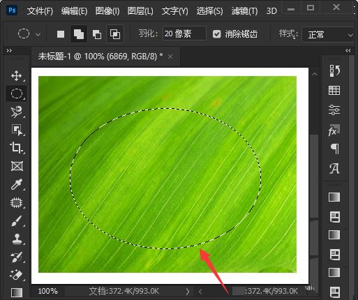 ps2022虛化在哪? ps2022圖片快速添加虛化效果的技巧