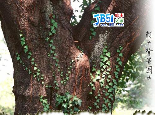 Photoshop图片合成教程:美女和树