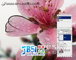 Photoshop钢笔结合画笔将照片变成白描画_天极软件整理