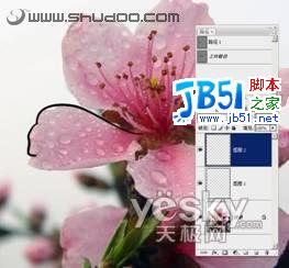 Photoshop钢笔结合画笔将照片变成白描画_天极软件整理