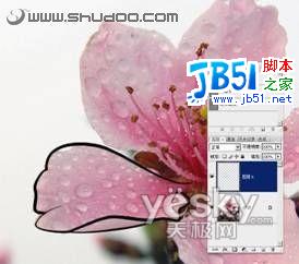 Photoshop钢笔结合画笔将照片变成白描画_天极软件整理