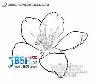 Photoshop钢笔结合画笔将照片变成白描画_天极软件整理