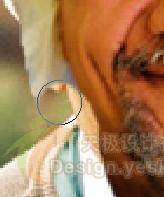 详解PS人物照片换头方法