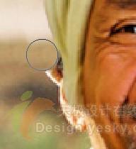 详解PS人物照片换头方法