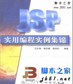JSP实用编程实例集锦 学JSP的入门书 PDG版(10.4M)
