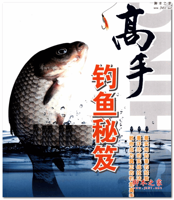 《高手钓鱼秘笈》PDF扫描版