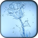 3D Rose Live Wallpaper Free v3.9 安卓免费版