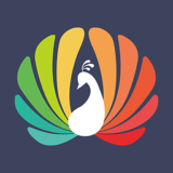 艺人捧场 for android 2.0.0 安卓版