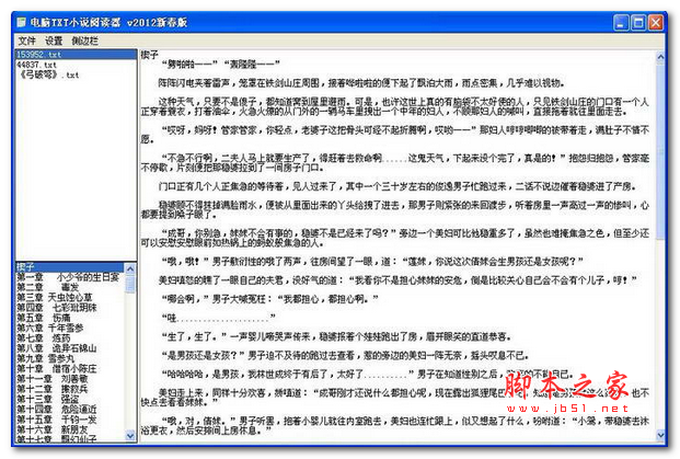 电脑TXT小说阅读器 2012新春版 官方中文安装版