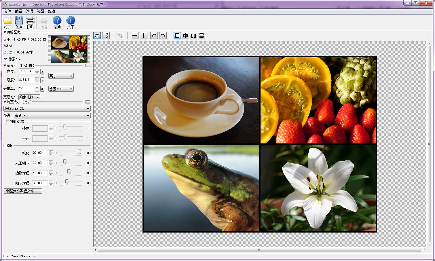 benvista PhotoZoom Classic 7(图片放大) v7.1.0.0 免费安装版