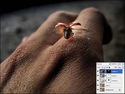 photoshop 结合滤镜制作强对比高清晰照片