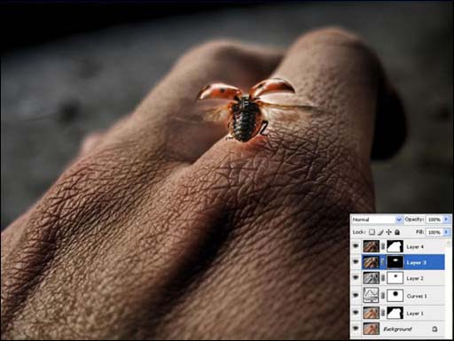 photoshop 结合滤镜制作强对比高清晰照片