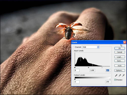 photoshop 结合滤镜制作强对比高清晰照片