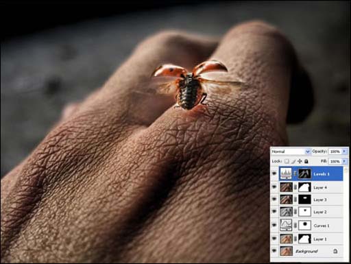 photoshop 结合滤镜制作强对比高清晰照片
