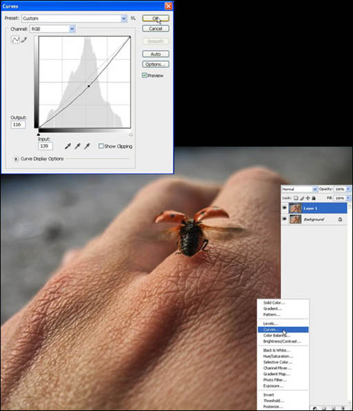 photoshop 结合滤镜制作强对比高清晰照片