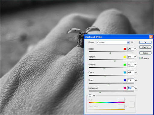 photoshop 结合滤镜制作强对比高清晰照片