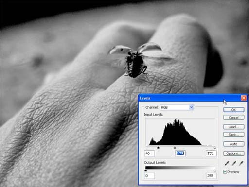 photoshop 结合滤镜制作强对比高清晰照片