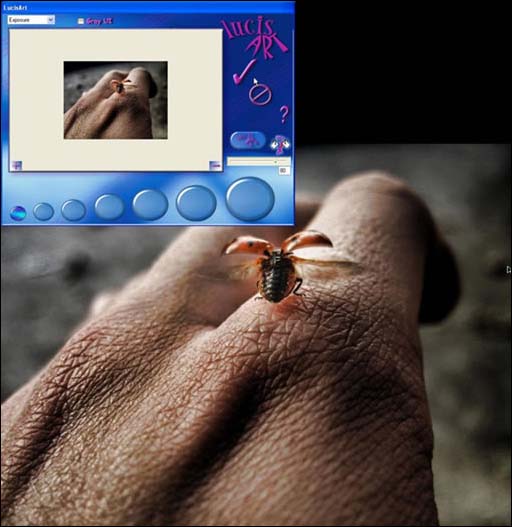 photoshop 结合滤镜制作强对比高清晰照片