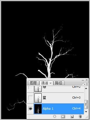 Photoshop实例:计算命令抠图