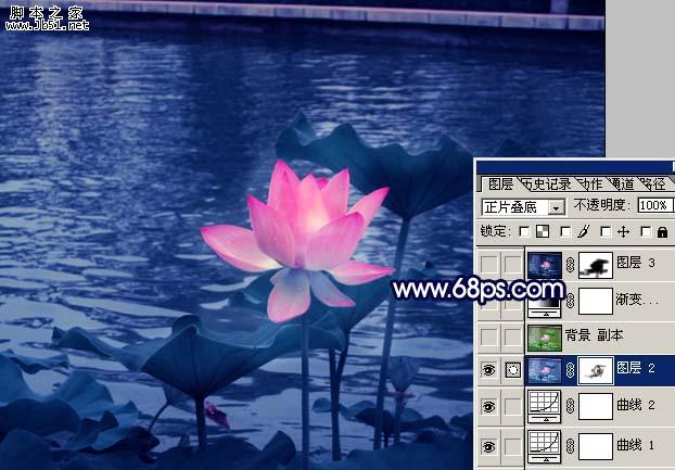 Photoshop 紫色荷花