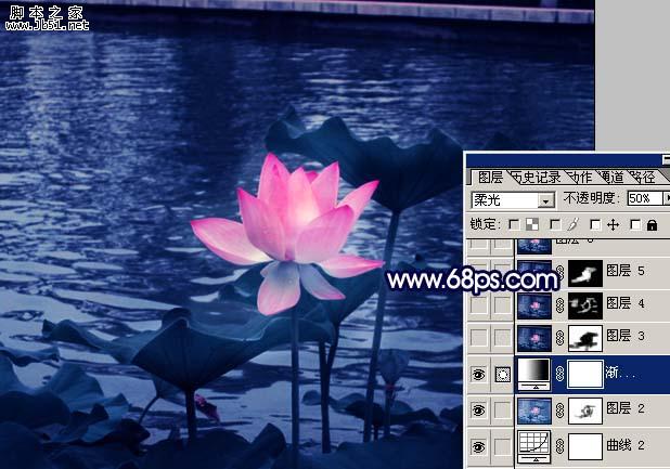 Photoshop 紫色荷花