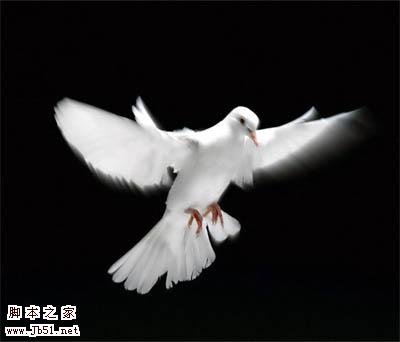 photoshop 多图合成柔美的古典美女效果