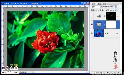 photoshop 简单三步修复严重偏色的鲜花图片