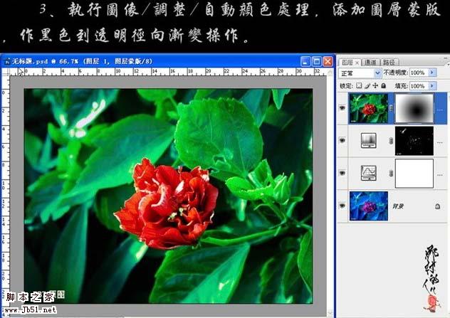 photoshop 简单三步修复严重偏色的鲜花图片