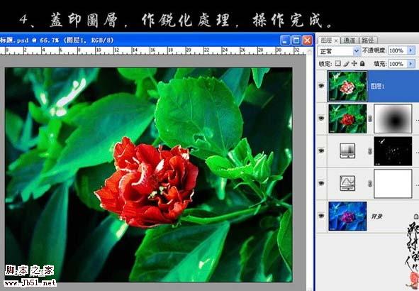 photoshop 简单三步修复严重偏色的鲜花图片