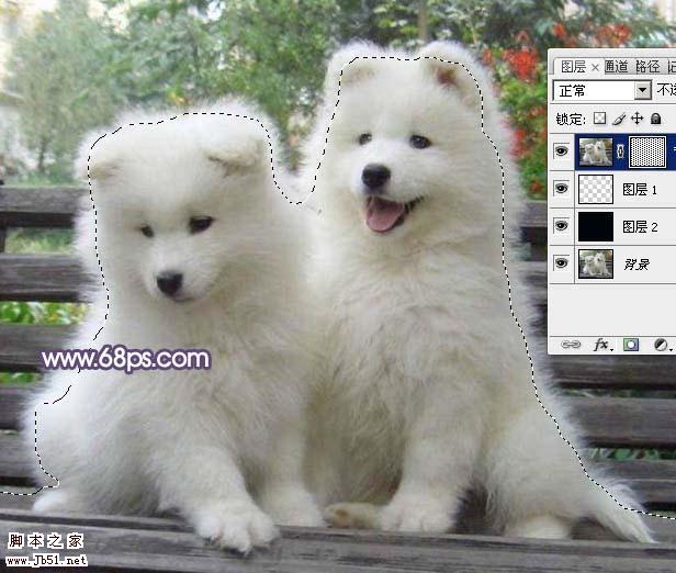 Photoshop 抽出滤镜抠出白色的小狗