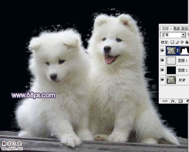 Photoshop 抽出滤镜抠出白色的小狗