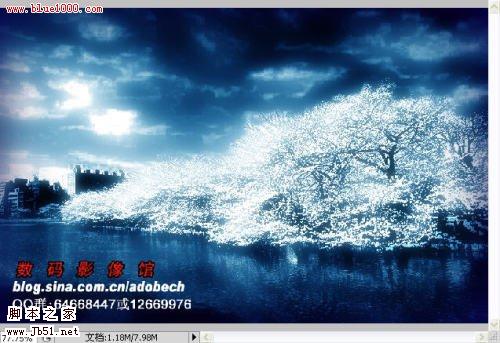 photoshop 树外景照片添加雪景般的梦幻效果